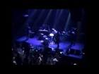 Lingo Live Videos