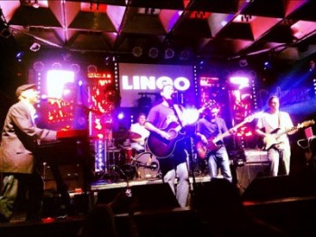 Lingo @ The Culture Room 2012